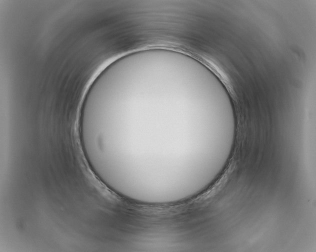 X0000110880948200906180942