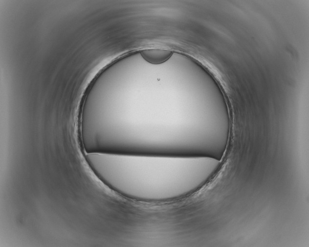 X0000110880949200906180942
