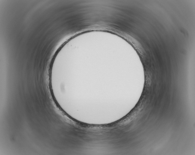 X0000110880950200906180942