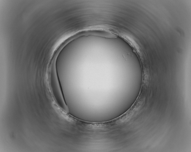 X0000110880952200906180942