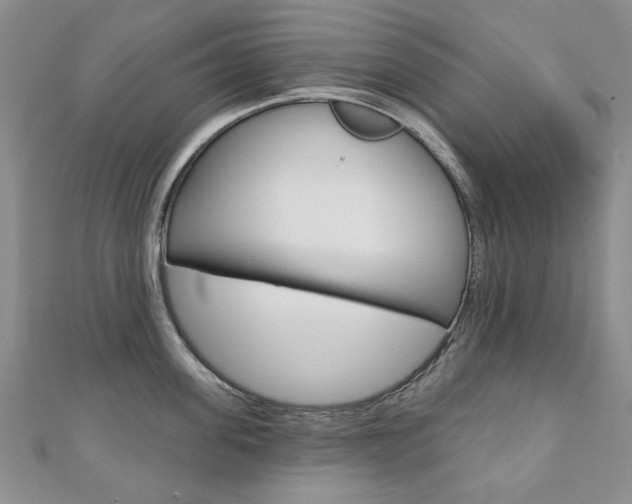 X0000110880955200906180942