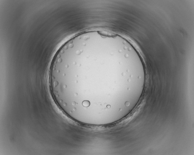 X0000110880957200906180942
