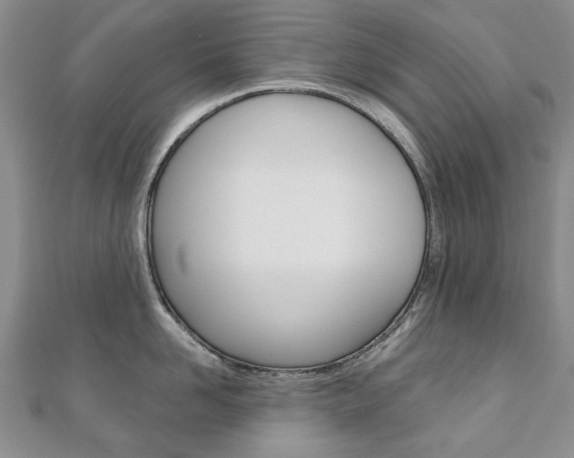 X0000110880958200906180942