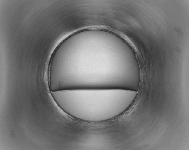 X0000110880959200906180942
