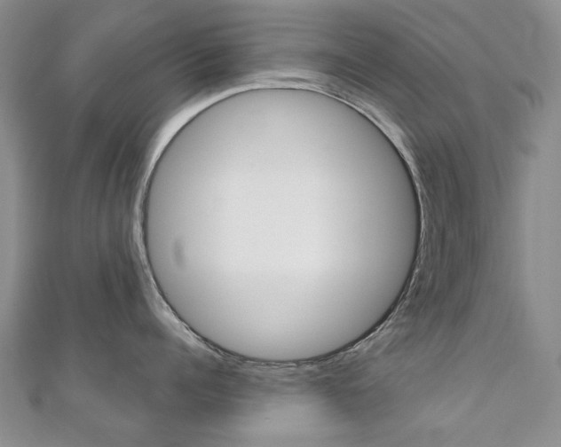 X0000110880960200906180942