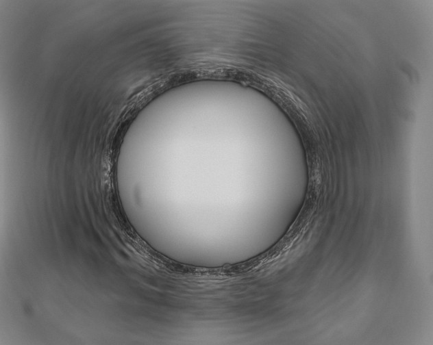 X0000110880964200906180942