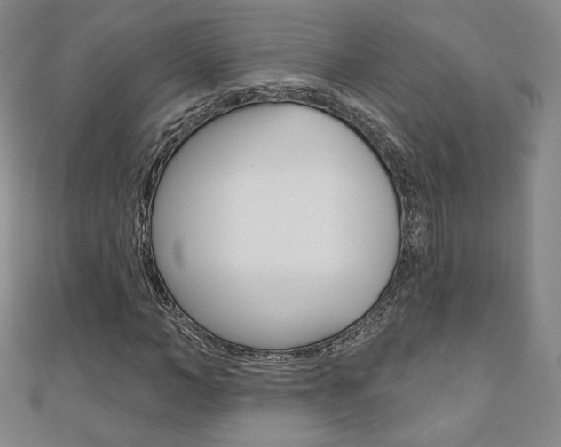 X0000110880966200906180942