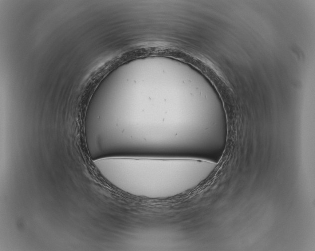 X0000110880967200906180942