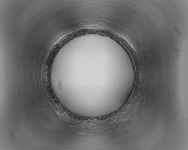 X0000110880968200906180942