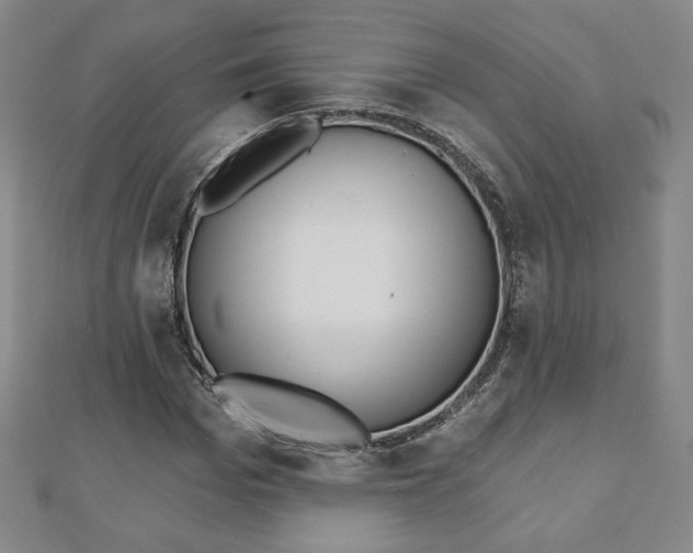 X0000110880969200906180942
