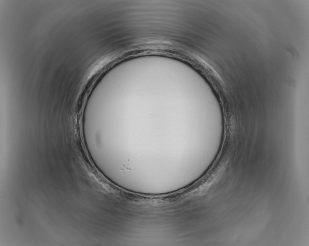X0000110880970200906180942