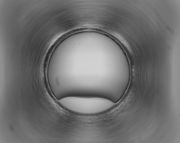 X0000110880972200906180941