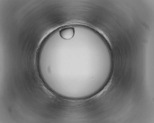 X0000110880973200906180941