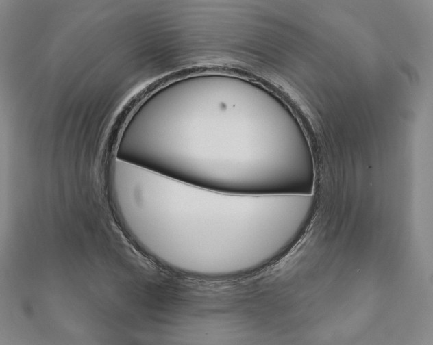 X0000110880975200906180941
