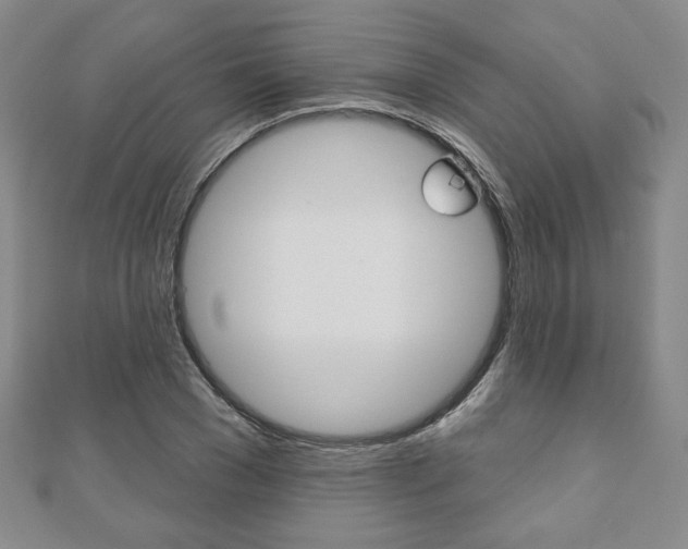 X0000110880977200906180941