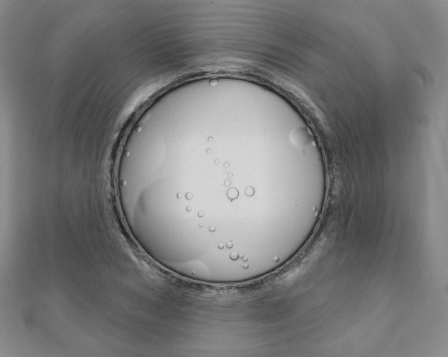 X0000110880978200906180941