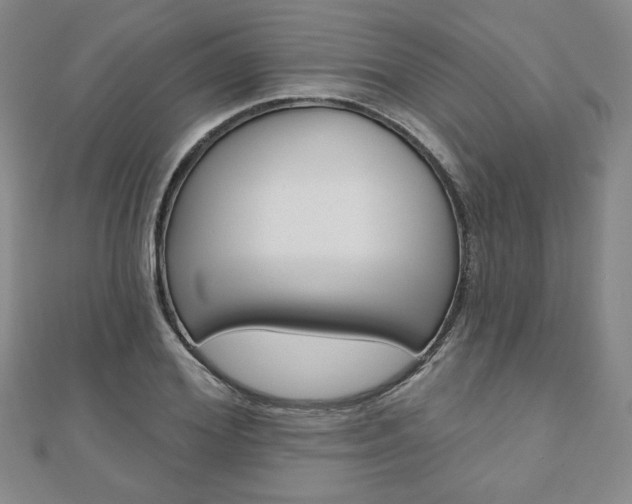 X0000110880980200906180941