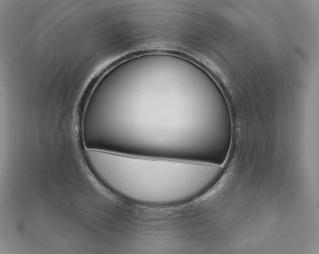 X0000110880981200906180941