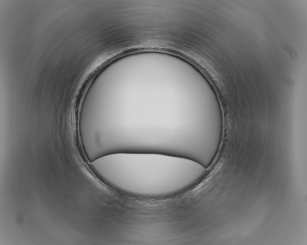 X0000110880982200906180941