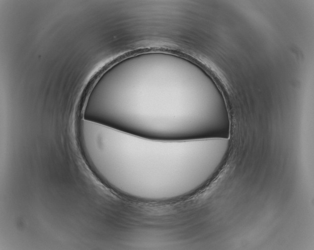 X0000110880983200906180941