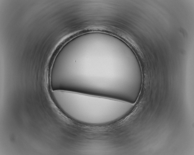 X0000110880984200906180941