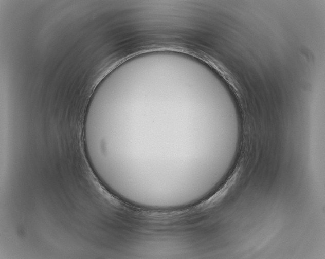 X0000110880985200906180941