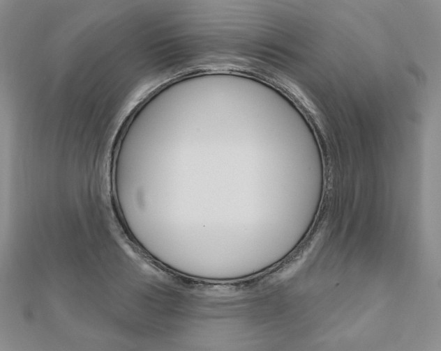 X0000110880986200906180941