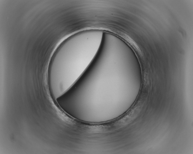 X0000110880988200906180941