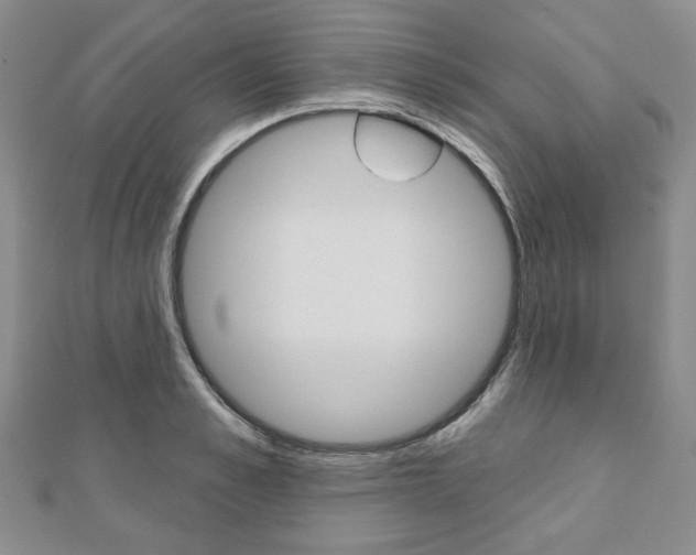X0000110880989200906180941