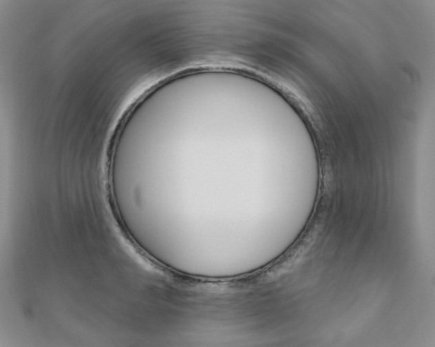 X0000110880990200906180941