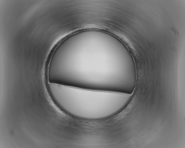 X0000110880991200906180941