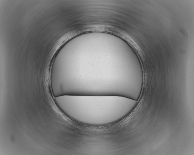 X0000110880994200906180941