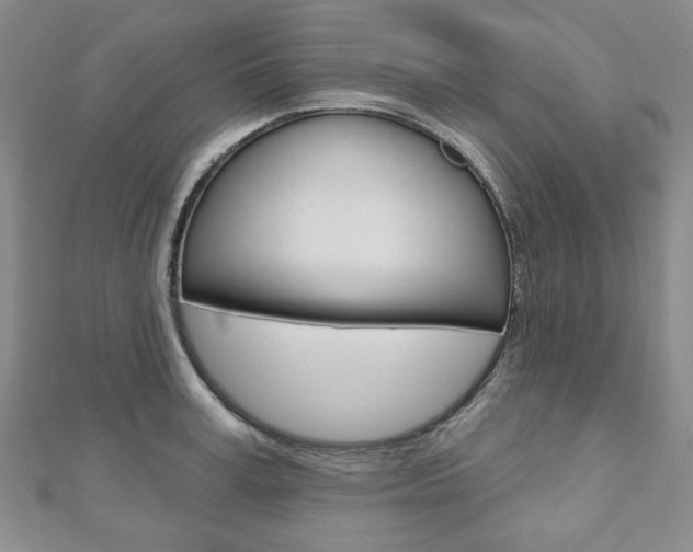 X0000110880995200906180941