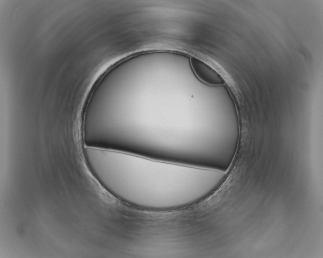 X0000110880996200906180941