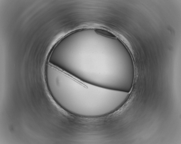 X0000110880997200906180941