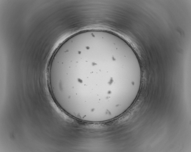 X0000110880998200906180941