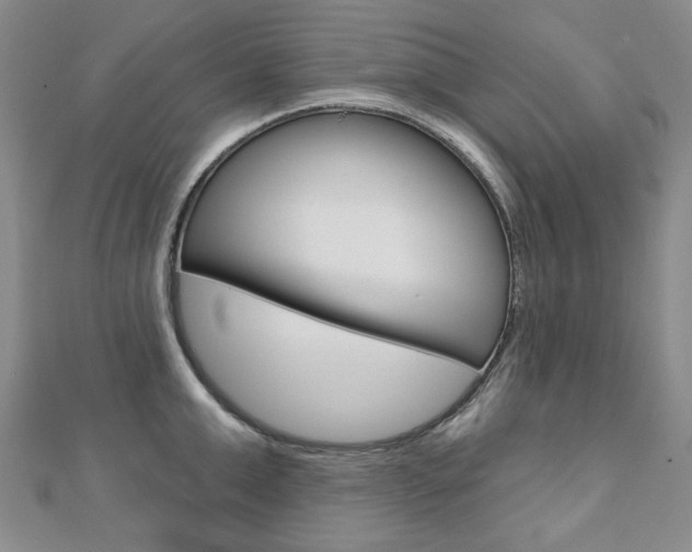 X0000110880999200906180941