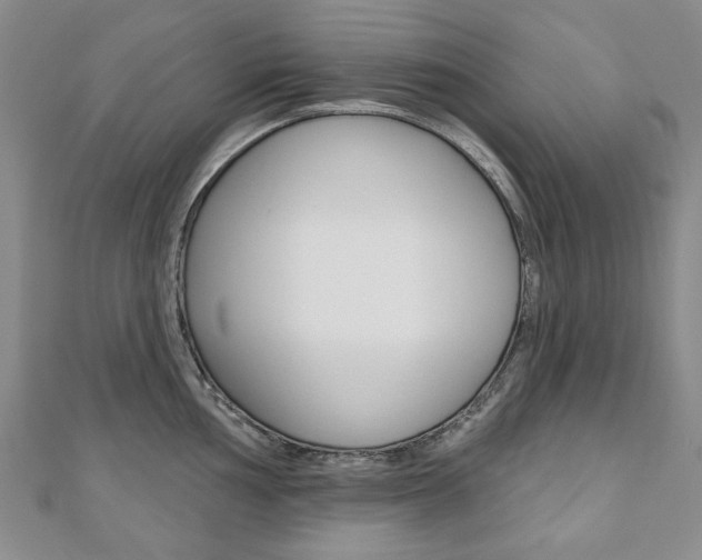 X0000110881002200906180941
