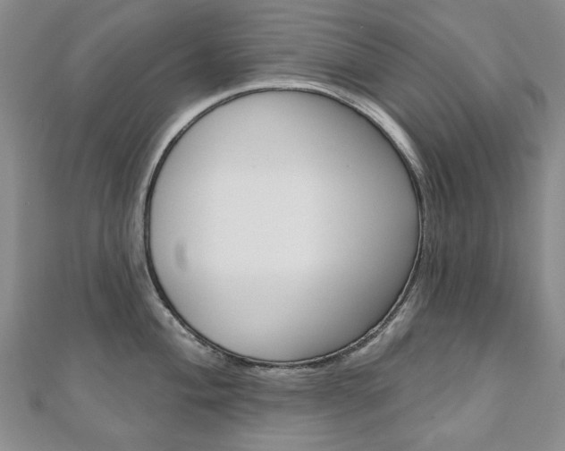 X0000110881004200906180941