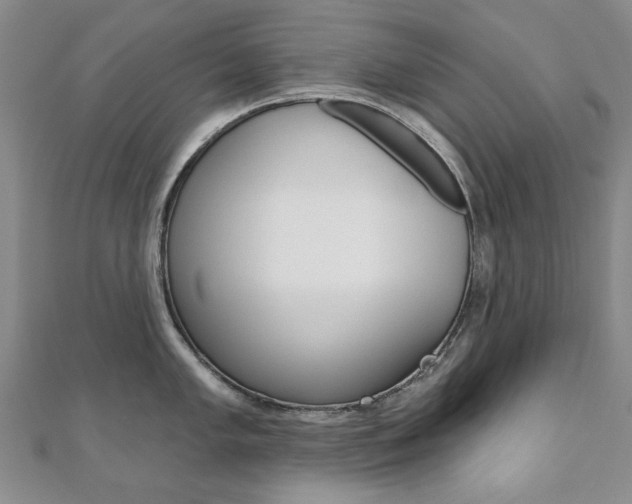 X0000110881005200906180941