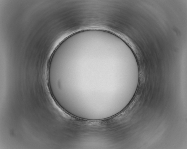 X0000110881006200906180941