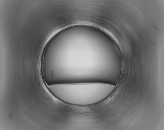 X0000110881007200906180941