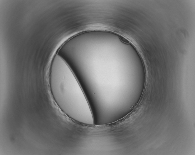 X0000110881008200906180941