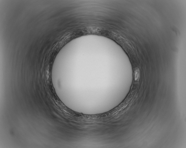 X0000110881011200906180940