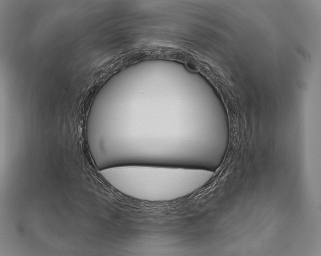 X0000110881013200906180940