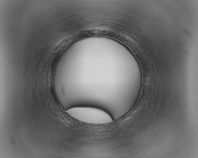 X0000110881014200906180940