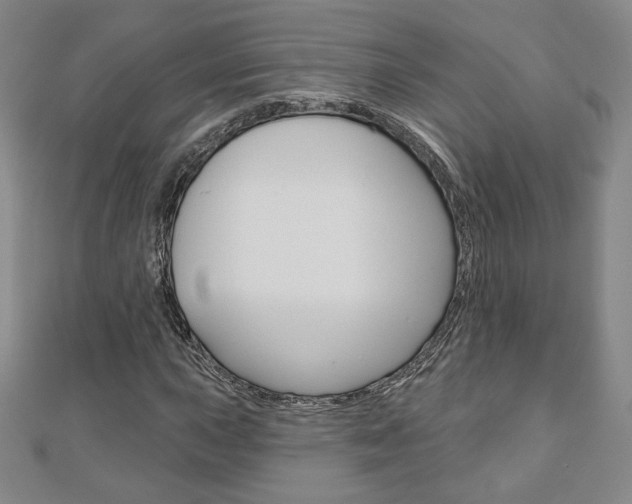 X0000110881015200906180940