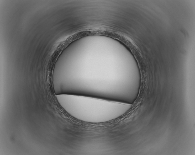 X0000110881016200906180940