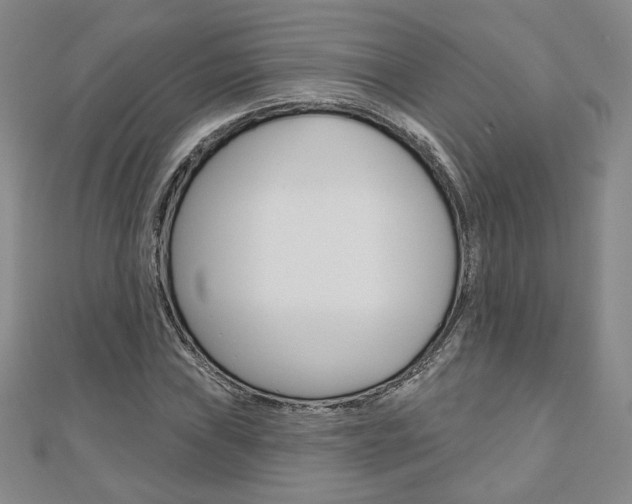 X0000110881019200906180940