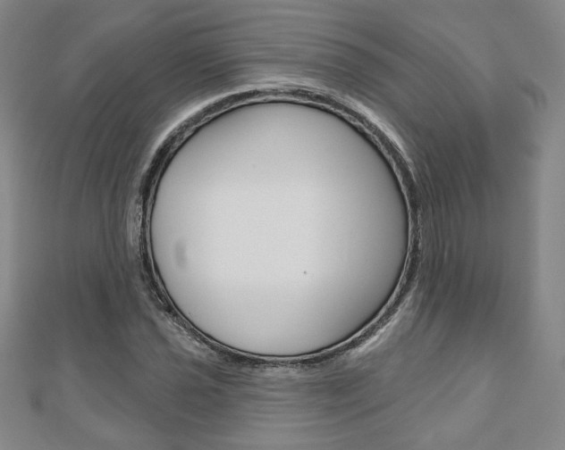 X0000110881021200906180940